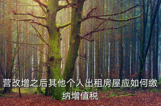 營改增之后其他個人出租房屋應(yīng)如何繳納增值稅