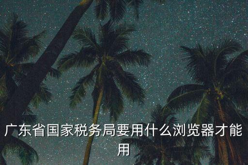 廣東省國(guó)家稅務(wù)局要用什么瀏覽器才能用