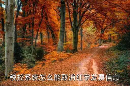 撤銷紅字信息表需要什么，我是購貨方開具紅字信息表錯誤去稅務局撤銷信息表查看描寫