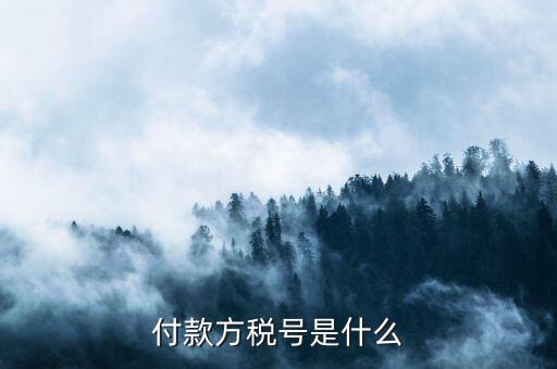 付款人稅號是什么，轉(zhuǎn)賬稅號指的是什么