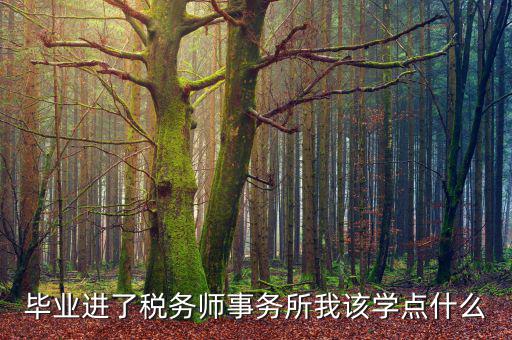 納稅人學堂講什么，稅務(wù)實務(wù)課講什么