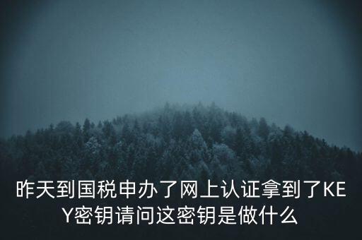 稅務(wù)認(rèn)證密碼是什么，昨天到國(guó)稅申辦了網(wǎng)上認(rèn)證拿到了KEY密鑰請(qǐng)問(wèn)這密鑰是做什么