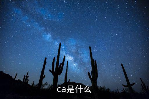 ca是什么