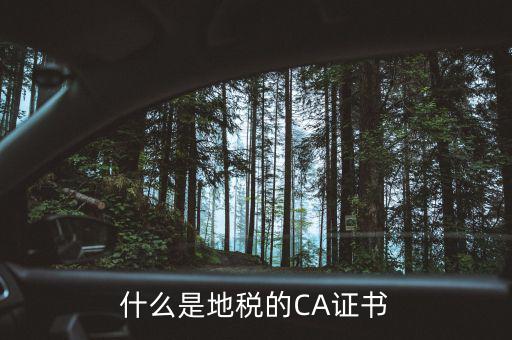 什么叫地稅CA用戶，什么是CA用戶