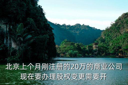 北京上個(gè)月剛注冊的20萬的商業(yè)公司現(xiàn)在要辦理股權(quán)變更需要開