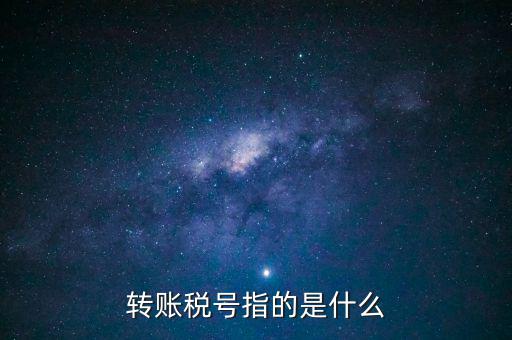 轉(zhuǎn)賬稅號指的是什么