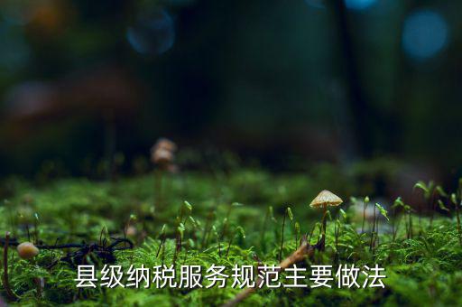 如何納稅的便民措施，如何提高納稅人滿意度 中國稅務(wù)報