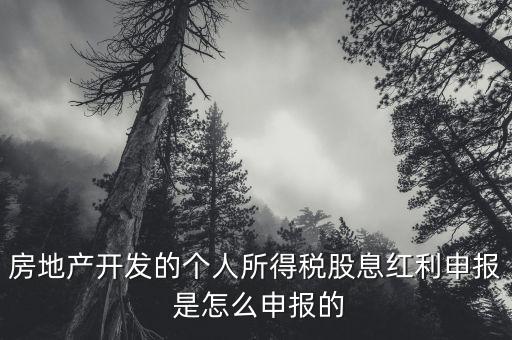 房地產(chǎn)開發(fā)的個人所得稅股息紅利申報 是怎么申報的