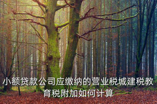 小額貸款公司如何繳稅，小額貸款公司的營業(yè)稅怎么算 sitewenwensosocom