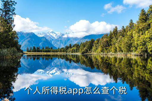 個(gè)人所得稅app怎么查個(gè)稅