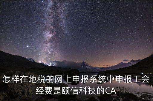 怎樣在地稅的網上申報系統(tǒng)中申報工會經費是頤信科技的CA