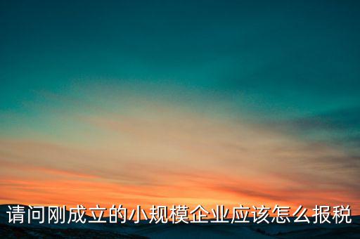 請(qǐng)問剛成立的小規(guī)模企業(yè)應(yīng)該怎么報(bào)稅