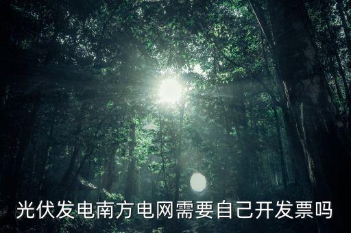 光伏發(fā)電南方電網(wǎng)需要自己開發(fā)票嗎