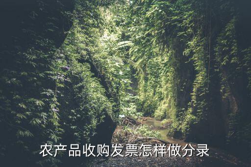 農(nóng)產(chǎn)品收購發(fā)票怎樣做分錄