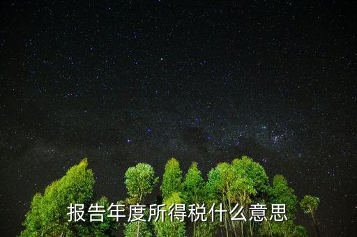 報(bào)告年度所得稅什么意思