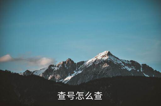 查號(hào)怎么查