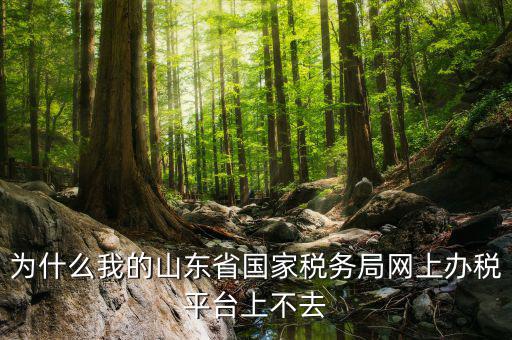 為什么我的山東省國家稅務局網上辦稅平臺上不去