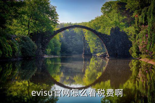 evisu官網怎么看稅費啊