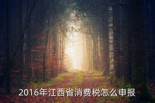 2016年江西省消費稅怎么申報