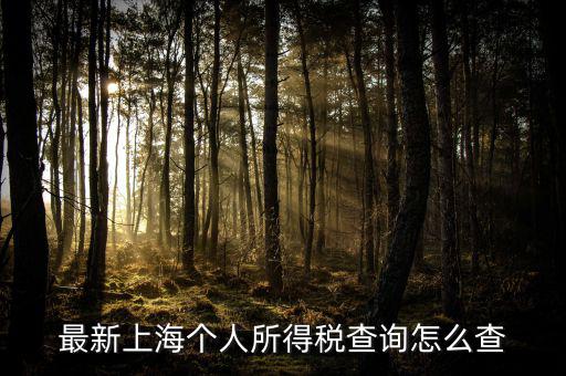 上海個人所得稅如何查詢，最新上海個人所得稅查詢怎么查