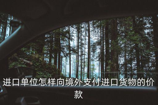 企業(yè)如何境外付款嗎，進(jìn)口單位怎樣向境外支付進(jìn)口貨物的價(jià)款