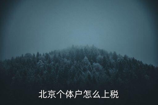 北京個體戶怎么上稅