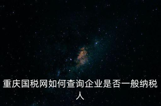 重慶國稅網(wǎng)如何查詢企業(yè)是否一般納稅人