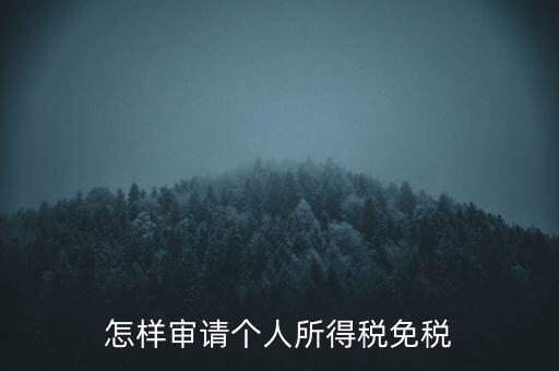 怎樣審請個人所得稅免稅