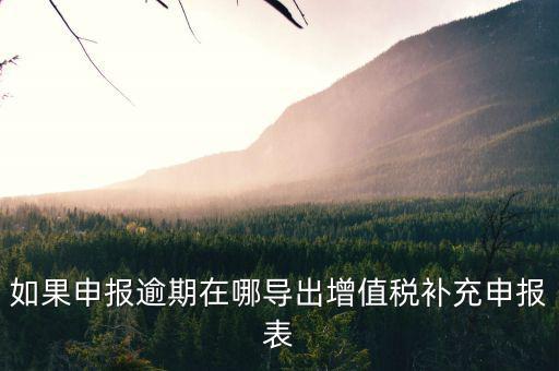 如果申報逾期在哪導(dǎo)出增值稅補充申報表