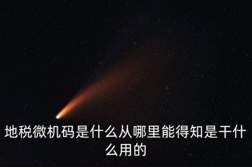 地稅微機碼是什么從哪里能得知是干什么用的