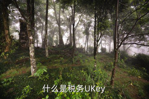 稅務(wù)局ukey是什么，什么是稅務(wù)UKey