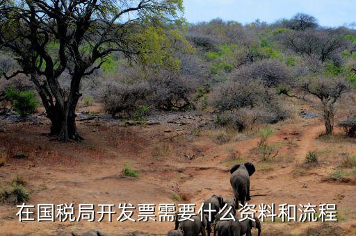 國稅局批票如何辦理，在國稅局開發(fā)票需要什么資料和流程