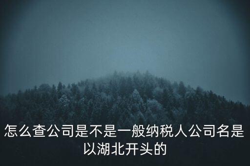 如何查詢企業(yè)是否是一般納稅人，怎么查公司是不是一般納稅人公司名是以湖北開頭的