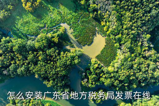 如何安裝珠海地稅在線開票，怎么安裝廣東省地方稅務局發(fā)票在線