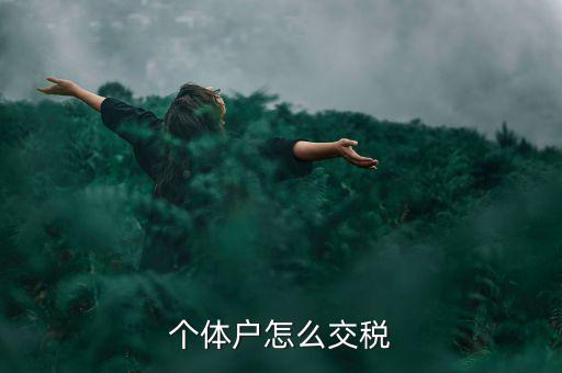 個體戶怎么交稅