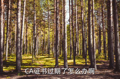 CA證書(shū)過(guò)期了怎么辦啊