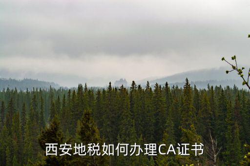 如何申請(qǐng)地稅ca證書，西安地稅如何辦理CA證書