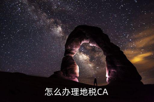 怎么辦理地稅CA