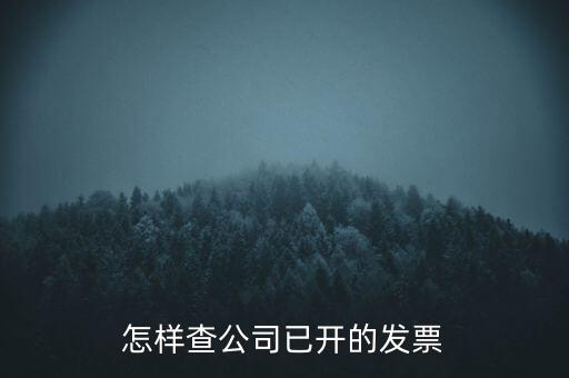 如何查企業(yè)的開票資料，如何查詢其他企業(yè)開具給本企業(yè)的發(fā)票