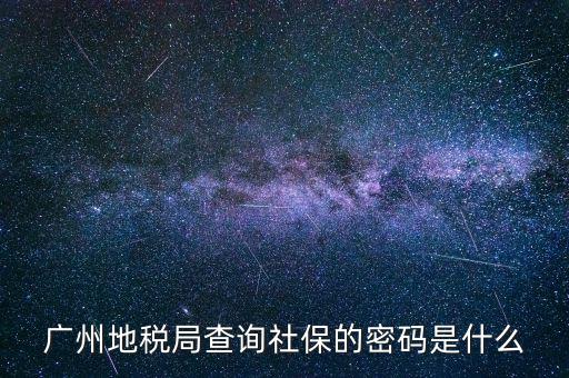 廣州地稅局查詢(xún)社保的密碼是什么