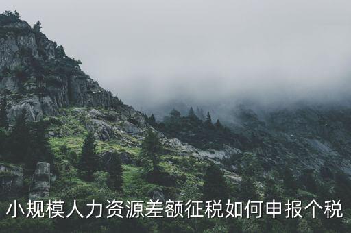 小規(guī)模人力資源差額征稅如何申報個稅