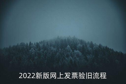 2022新版網(wǎng)上發(fā)票驗舊流程