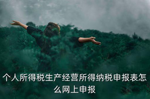 生產經營所得如何網上申報，個體工商戶網上申報怎么做