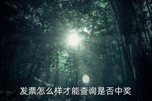 發(fā)票怎么樣才能查詢是否中獎(jiǎng)