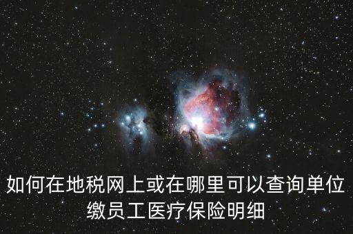 如何在地稅交社保查詢，單位交了社保費在地稅網(wǎng)怎么查詢