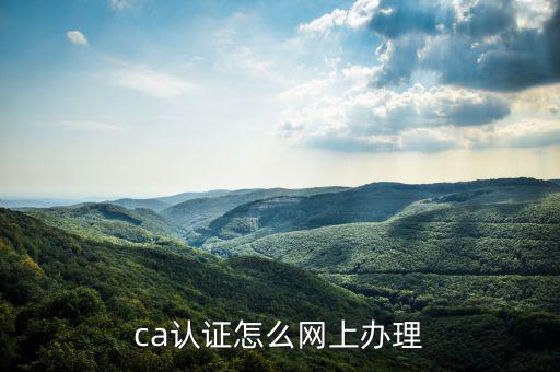 四川網(wǎng)上稅務(wù)如何ca登錄，ca證書如何登錄國稅