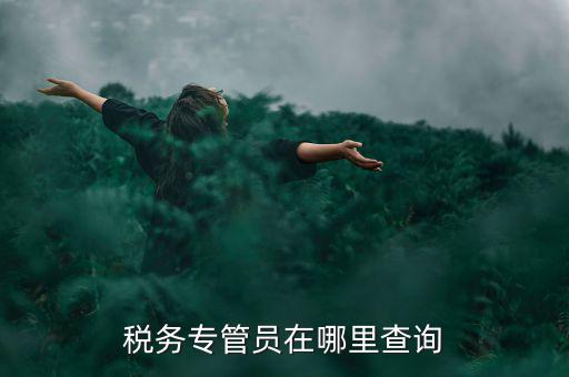 北京如何查詢稅務(wù)專管員，如何在網(wǎng)上查詢國稅專管員