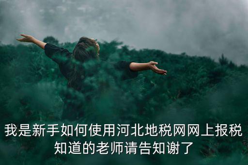 我是新手如何使用河北地稅網(wǎng)網(wǎng)上報(bào)稅知道的老師請告知謝了