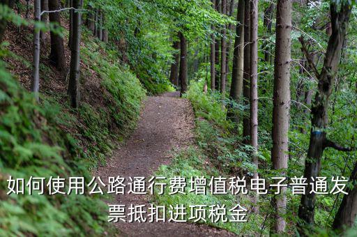 如何使用公路通行費增值稅電子普通發(fā)票抵扣進項稅金