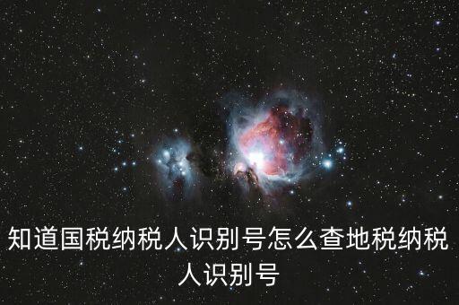 知道國稅納稅人識別號怎么查地稅納稅人識別號